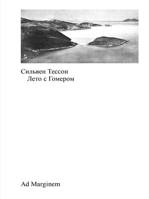 cover image of Лето с Гомером